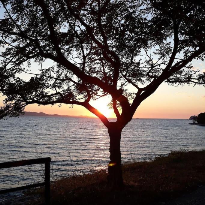 Apartman Milo - Zadar Exteriör bild