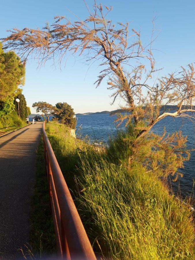 Apartman Milo - Zadar Exteriör bild