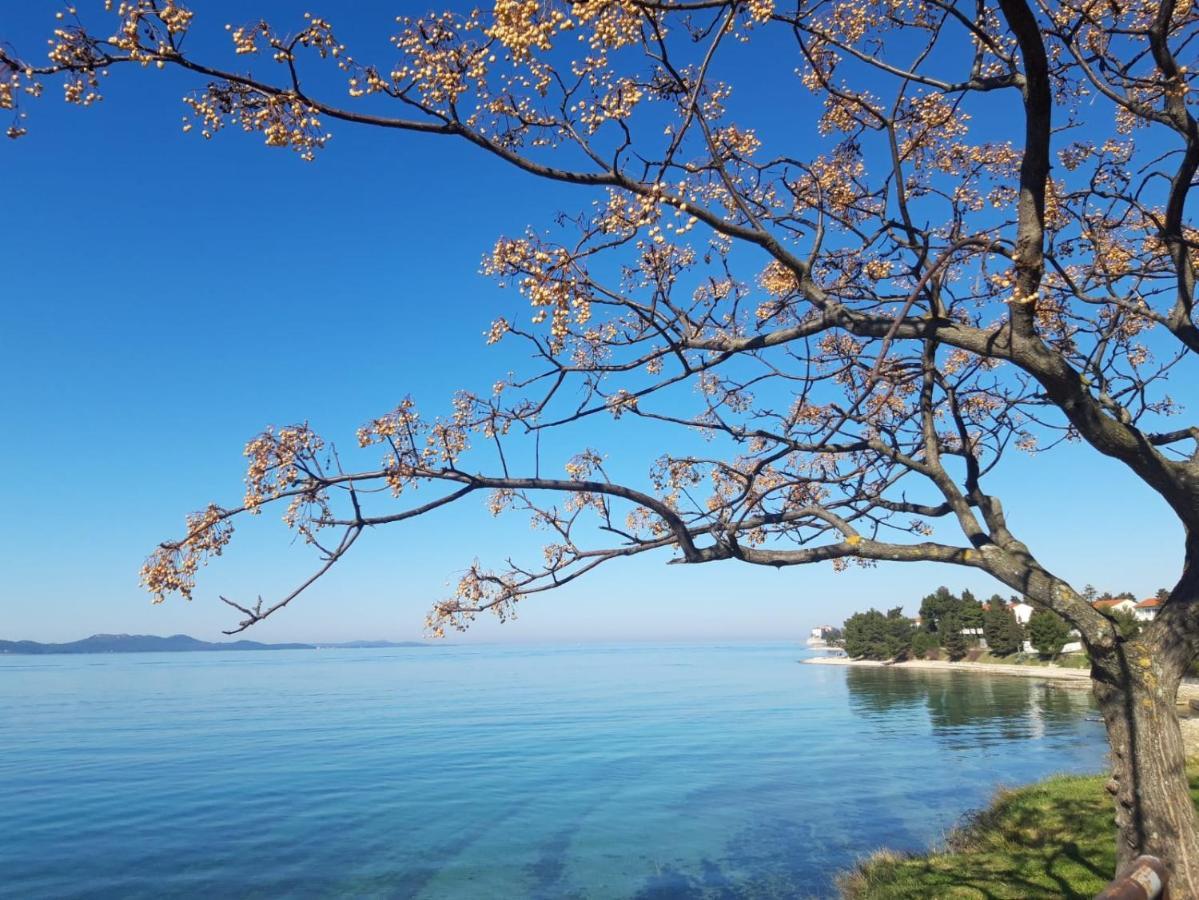Apartman Milo - Zadar Exteriör bild